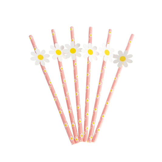 Flower Party Daisy Paper Straws (10)